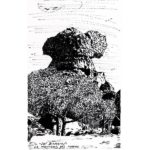 La Montera del Torero, por A. Álvarez